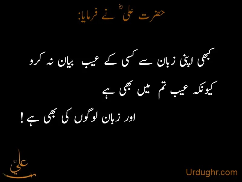 40 Best Warren Buffet Quotes in Urdu | Urdu Quotes
