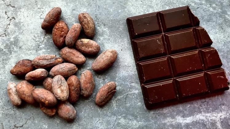 From Bean to Bar: Discover the Delights of Callebaut Chocolate