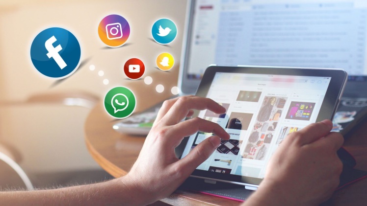 Harnessing the Power of Social Media Panels for Success