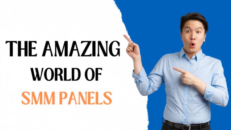 The Amazing World Of Smm Panels: More Likes, Views, Followers In Seconds!