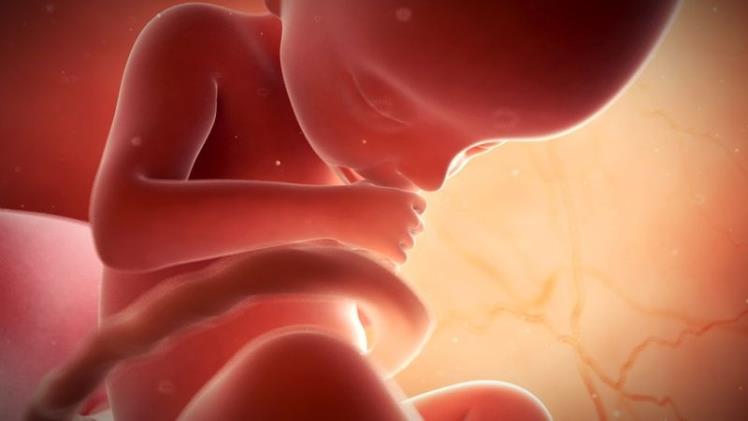 Maternal Care and Fetal Development