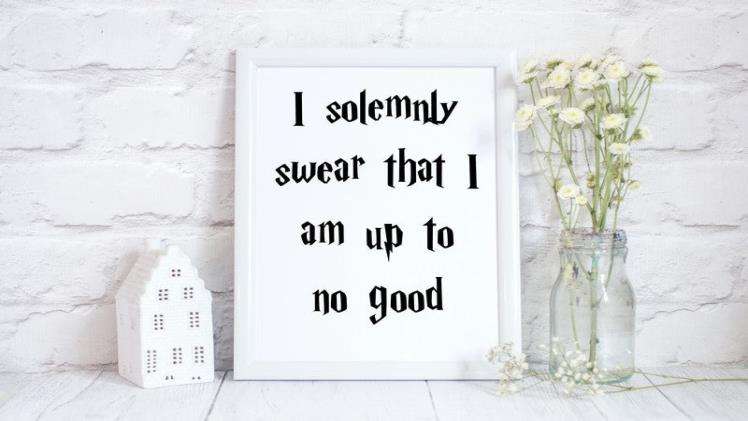 I Solemnly Swear That I Am to No Good