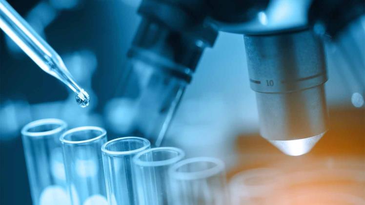 The Molecular UTI Panel: Revolutionizing Diagnosis and Treatment